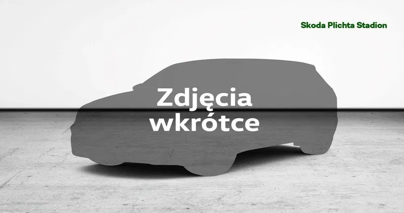 samochody osobowe Skoda Fabia cena 59900 przebieg: 57952, rok produkcji 2021 z Rzgów